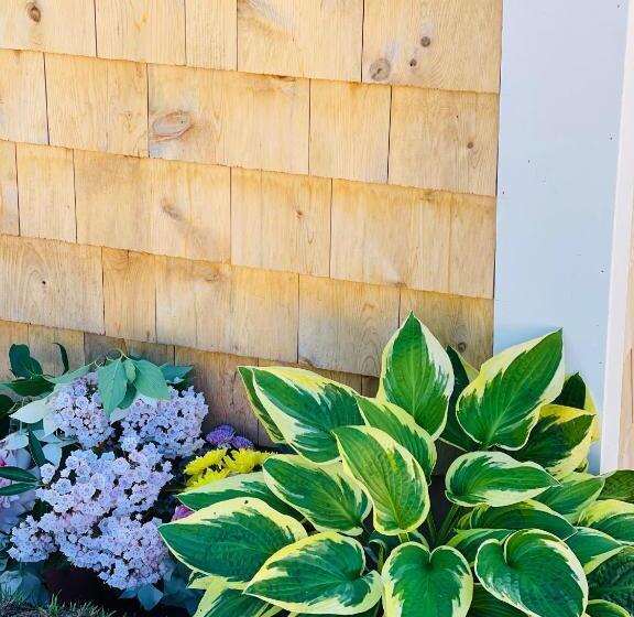 Четырехместный Номер Стандарт, Prince Of Whales