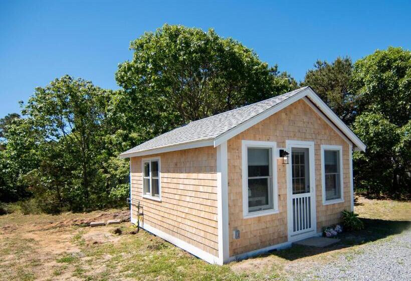 Студия Deluxe, Prince Of Whales