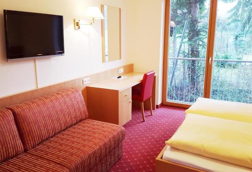 غرفة قياسية, Gasthof Hotel Zur Goldenen Krone