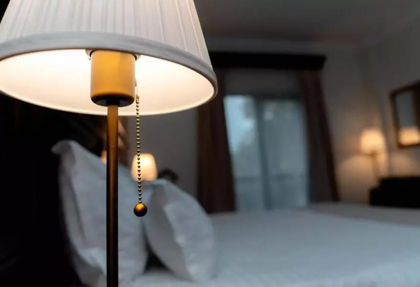 キングサイズベッドのデラックスルーム, Grand Hotel Sofianu