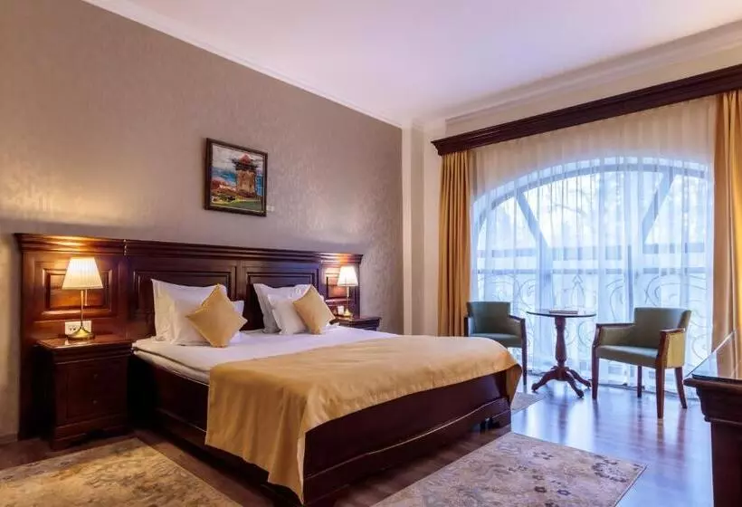 一ベッドルームエクゼクティブアパートメント, Grand Hotel Sofianu