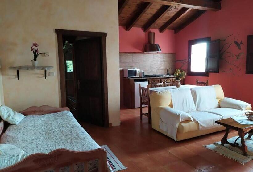 آپارتمان 1 خوابه با چشم‌انداز, H&ap Rural Merrutxu