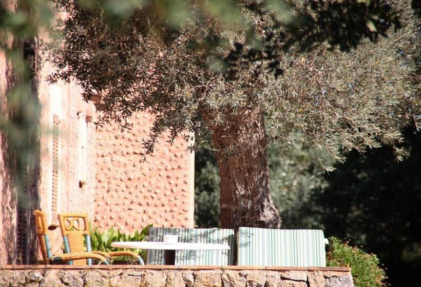 스탠다드 테라스 룸, Ca S Garriguer