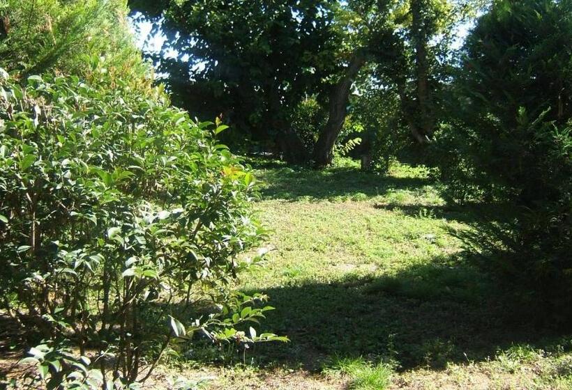 غرفة قياسية فردية, Locanda Canareggio