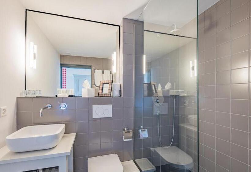 غرفة قياسية, Rinderberg Swiss Alpine Lodge