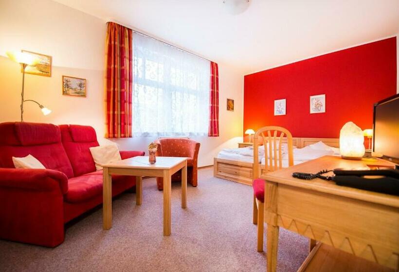 스탠다드 룸, Sanatorium Mariot