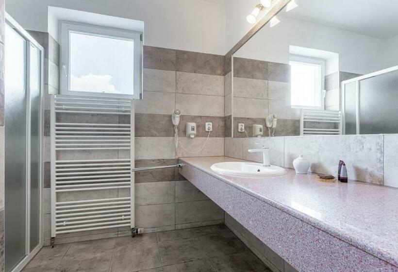 스탠다드 싱글 룸, Sanatorium Mariot