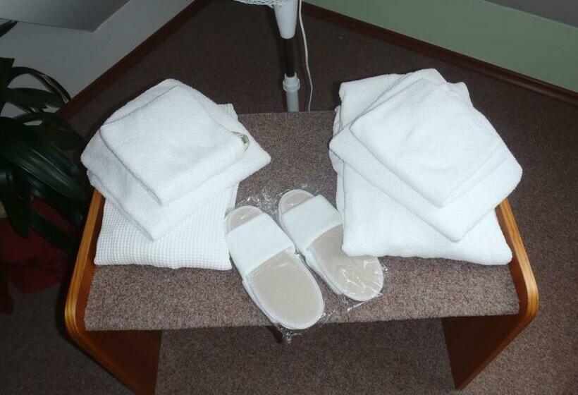 스탠다드 싱글 룸, Sanatorium Mariot