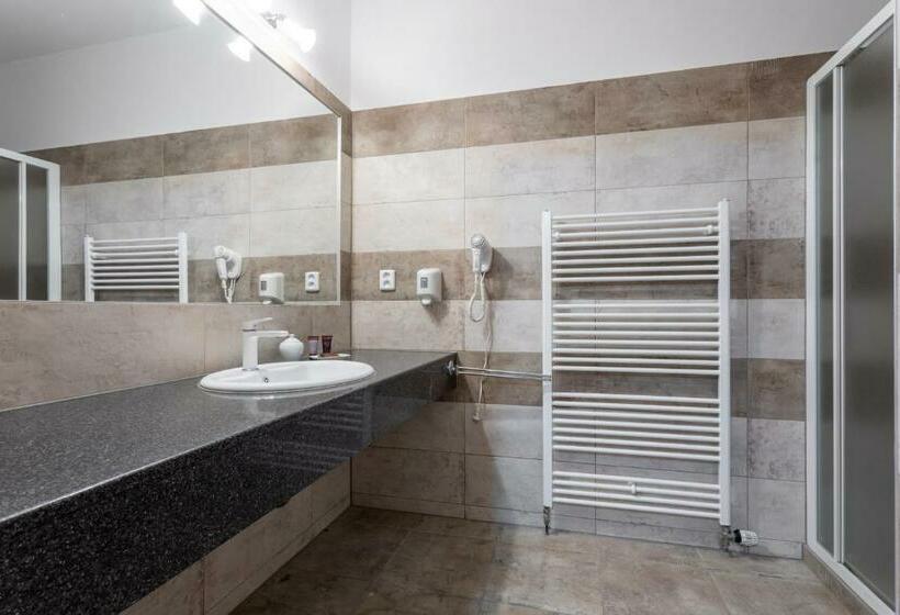 اتاق استاندارد یک نفره, Sanatorium Mariot