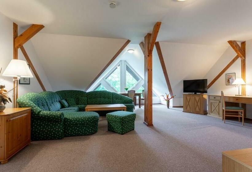 스탠다드 스튜디오, Sanatorium Mariot