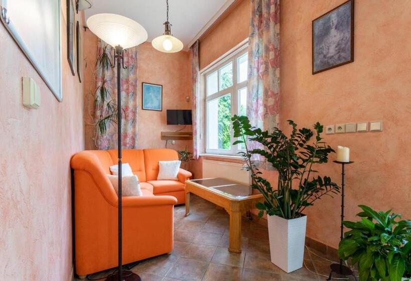 컴포트 룸, Sanatorium Mariot