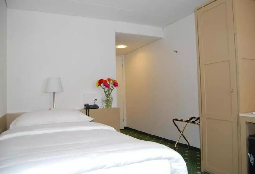 Standard Yhden Hengen Huone, Schwanen Wil