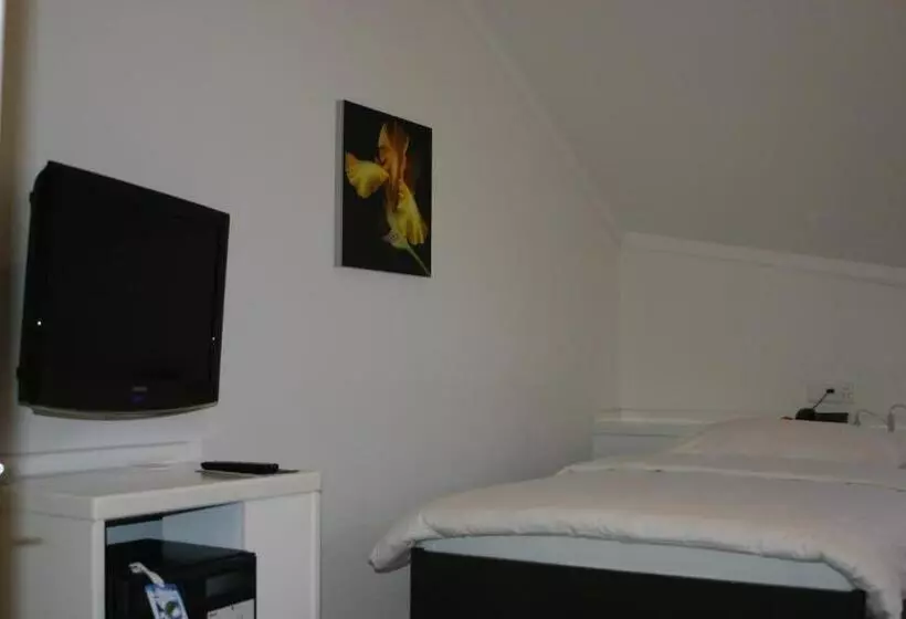 Superior Yhden Hengen Huone, Schwanen Wil