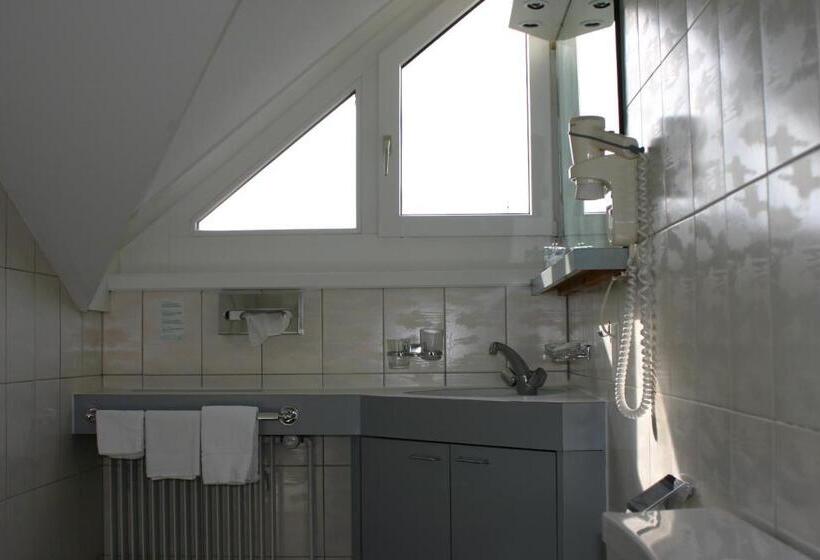 غرفة سوبيريور فردية, Schwanen Wil