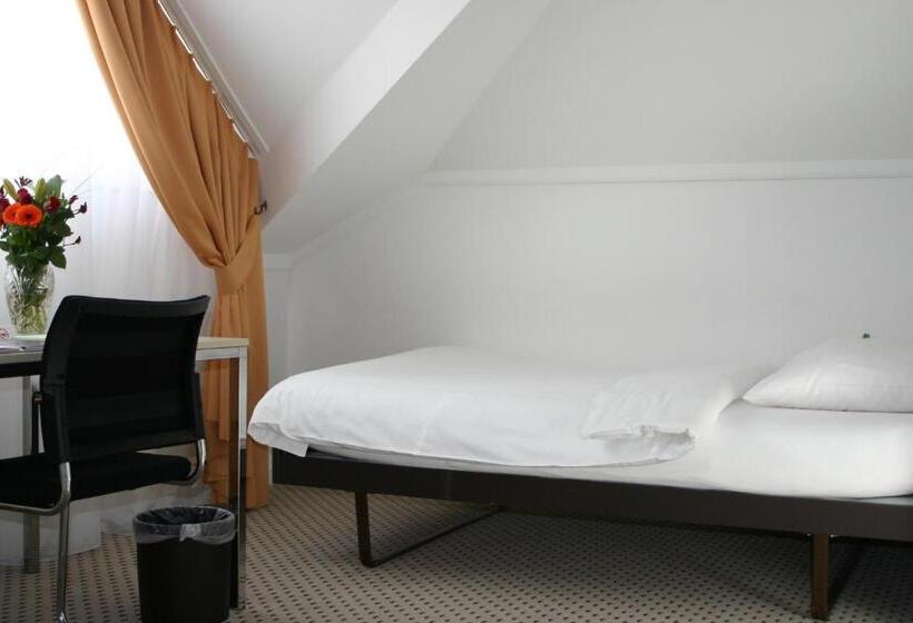 غرفة سوبيريور فردية, Schwanen Wil