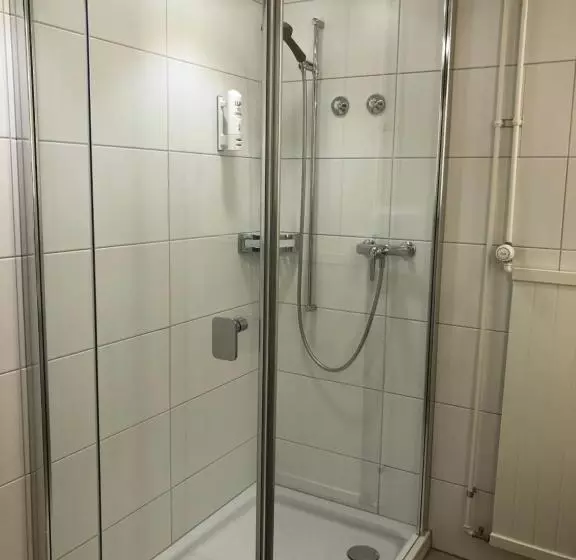 Standard-huone, Schwanen Wil