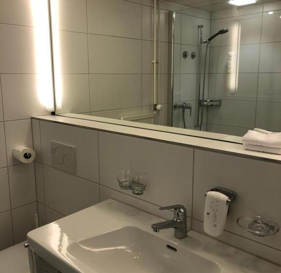 스탠다드 룸, Schwanen Wil