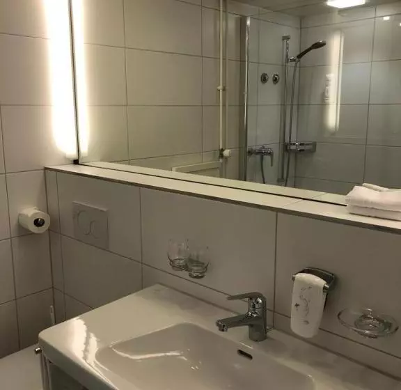 Standard-huone, Schwanen Wil