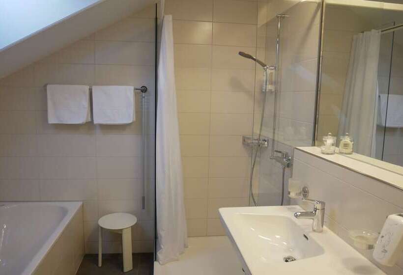 חדר סטנדרט, Schwanen Wil