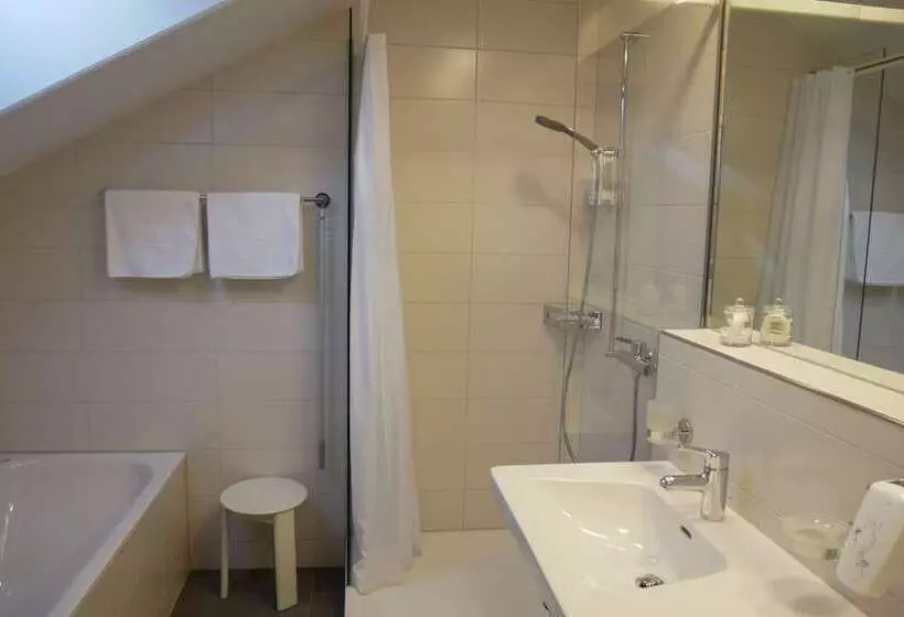 Standard-huone, Schwanen Wil