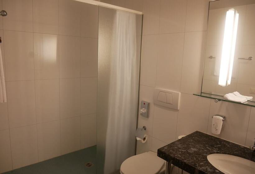 חדר סטנדרט, Schwanen Wil