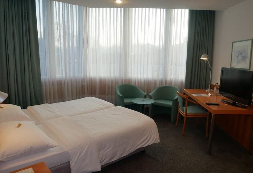 חדר סופריור, Schwanen Wil