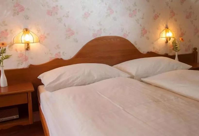 コンフォートルーム, & Spa Cacciatori