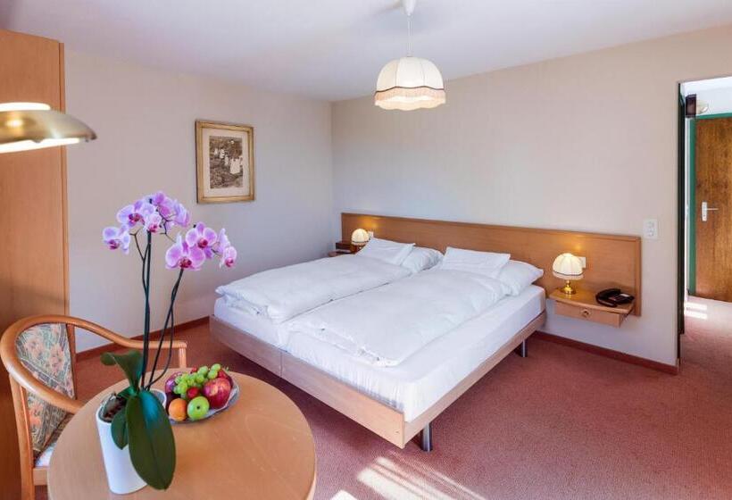 Номер Стандарт, & Spa Cacciatori