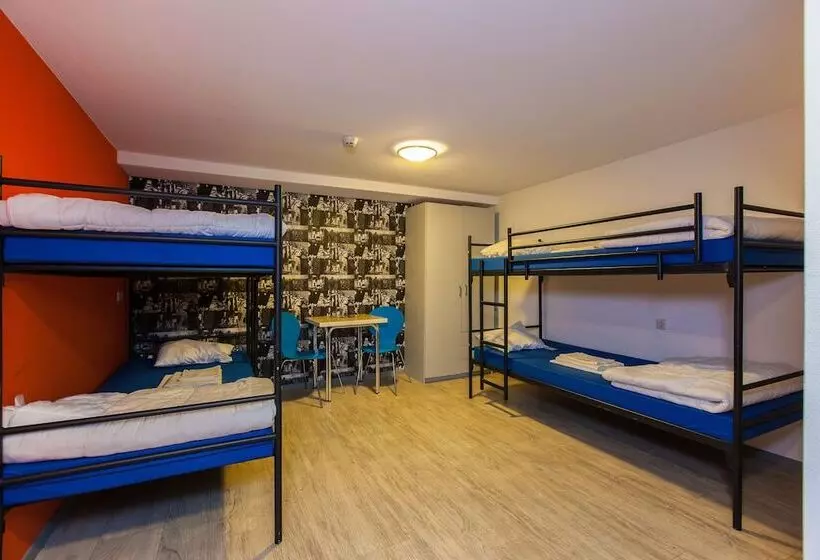 تختخواب در اتاق مشترک, Kings Inn City Hostel
