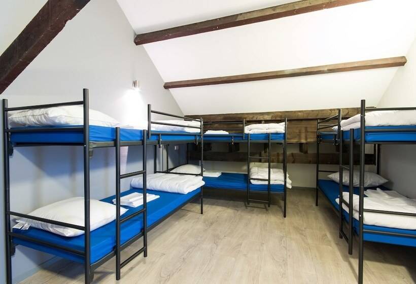 Кровать в Общей Комнате, Kings Inn City Hostel