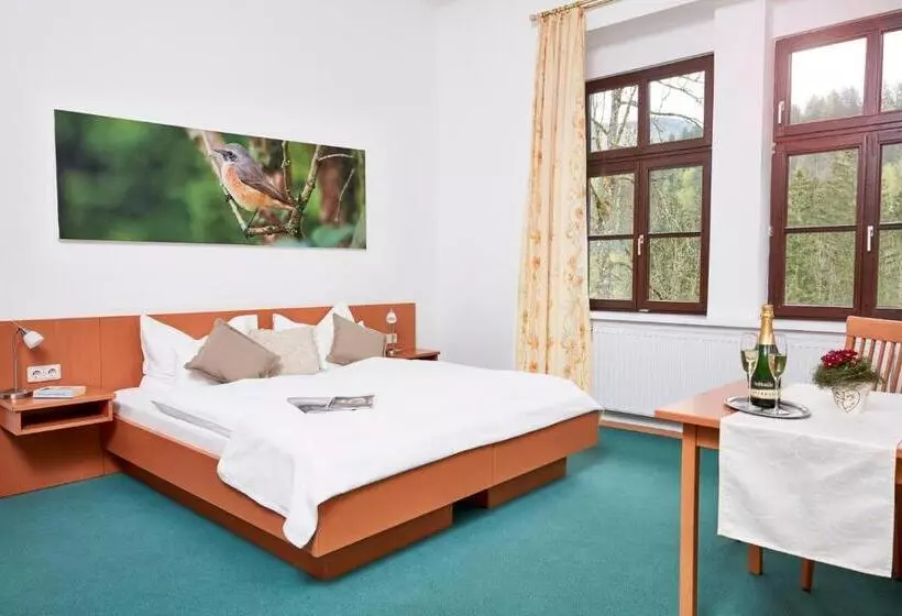 スタンダードルーム, Naturhotel Schloss Kassegg