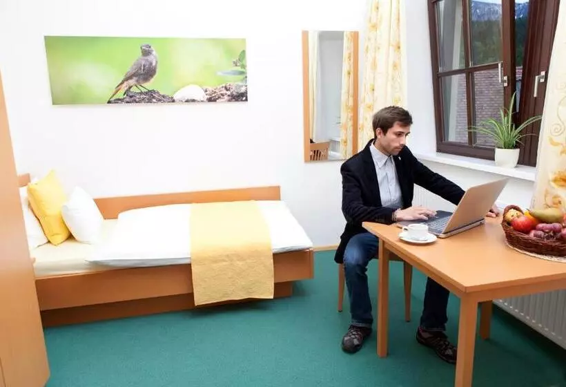 スタンダードシングルルーム, Naturhotel Schloss Kassegg