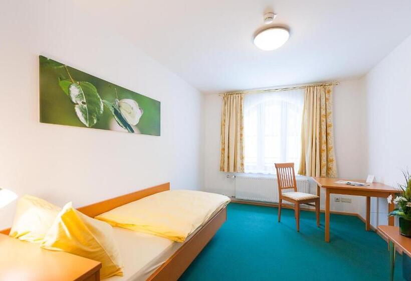 غرفة قياسية فردية, Naturhotel Schloss Kassegg