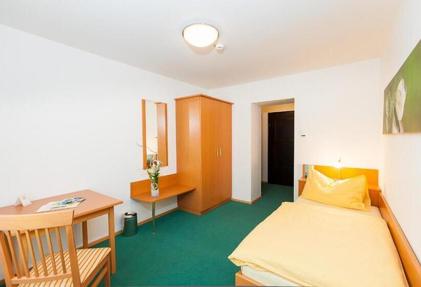 غرفة قياسية فردية, Naturhotel Schloss Kassegg