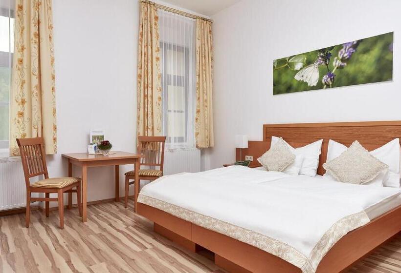 غرفة سوبيريور, Naturhotel Schloss Kassegg