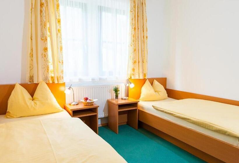 غرفة قياسية, Naturhotel Schloss Kassegg