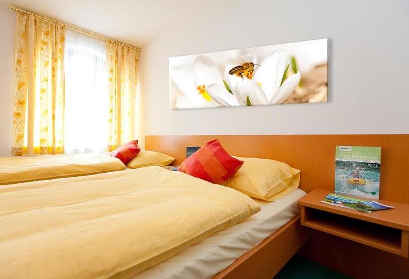 غرفة قياسية, Naturhotel Schloss Kassegg