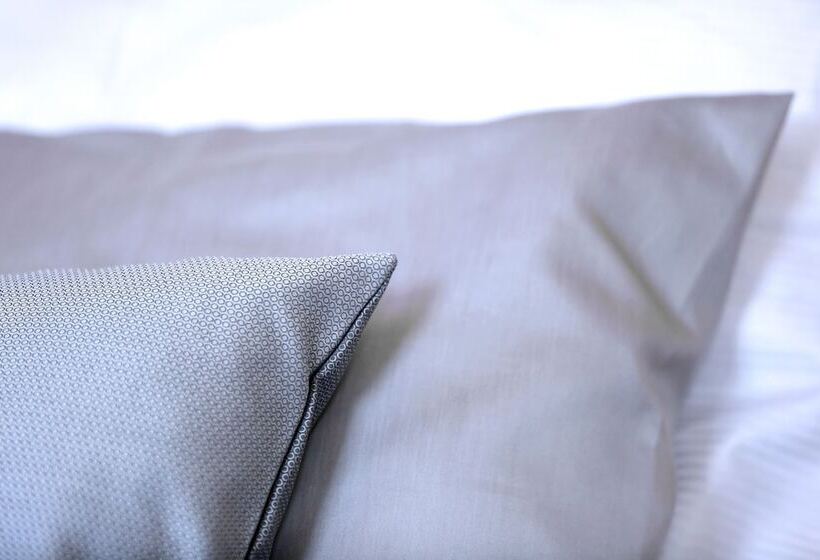 חדר סטנדרט לארבעה, Zámeček Janovičky