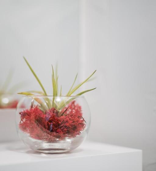 스탠다드 룸 파노라마 전망, Villa Borgo B&b