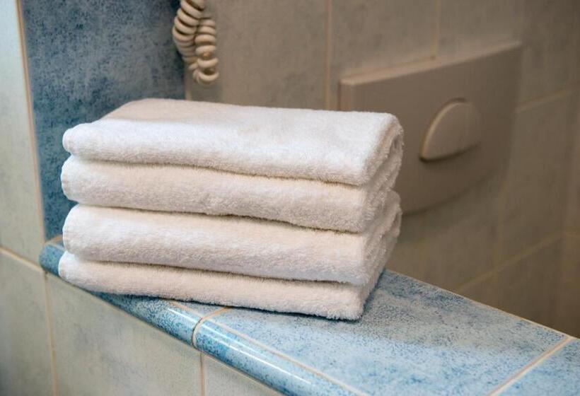 غرفة قياسية, Wellness Hotel Frymburk