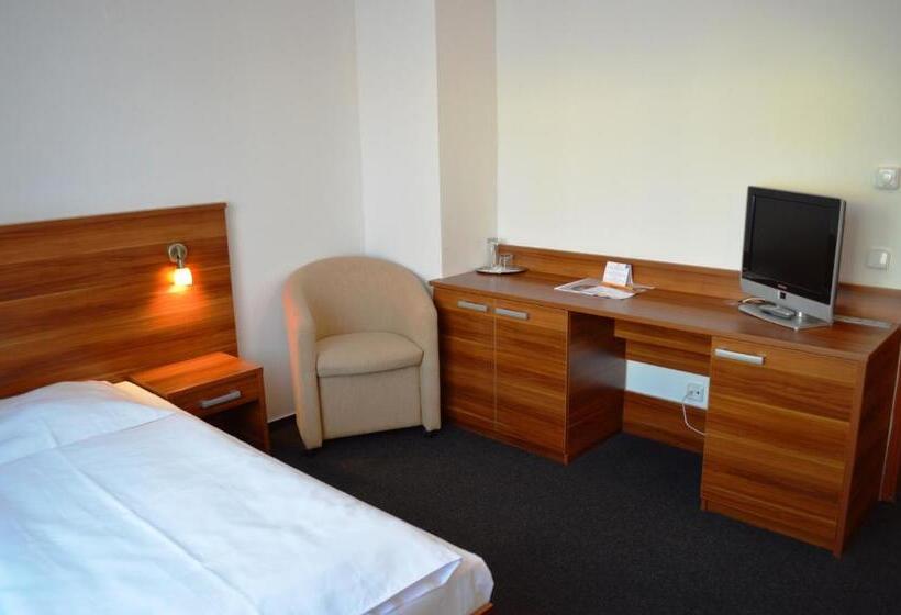 غرفة قياسية, Wellness Hotel Frymburk