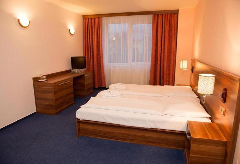 غرفة قياسية, Wellness Hotel Frymburk