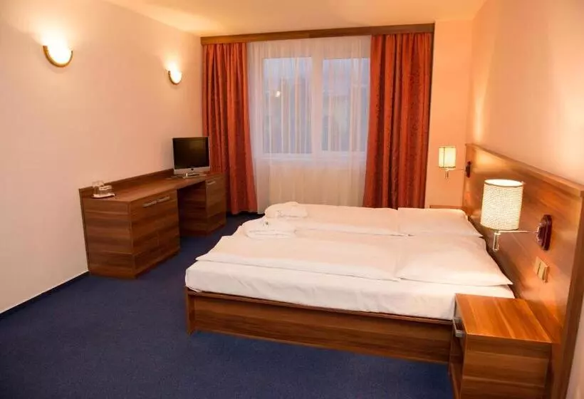 Standard-huone, Wellness Hotel Frymburk