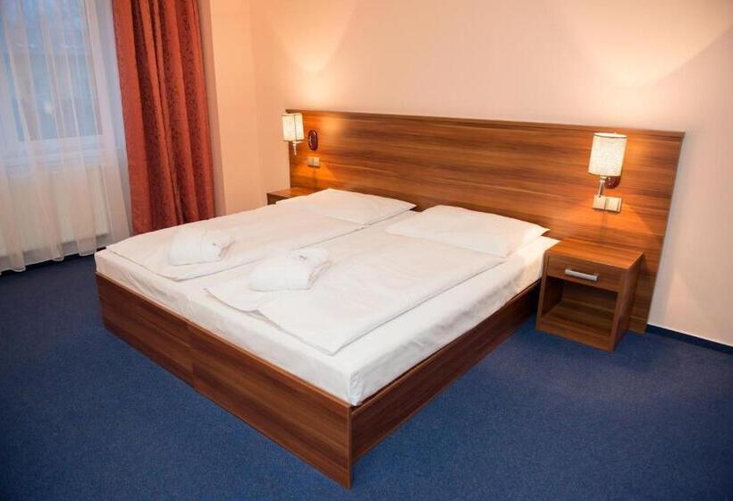 غرفة قياسية, Wellness Hotel Frymburk