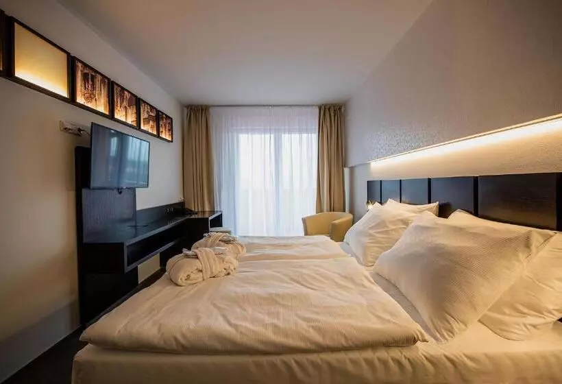 Standard-huone, Wellness Hotel Frymburk