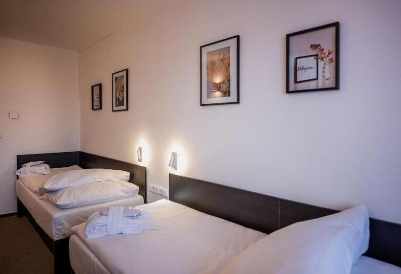 غرفة قياسية, Wellness Hotel Frymburk