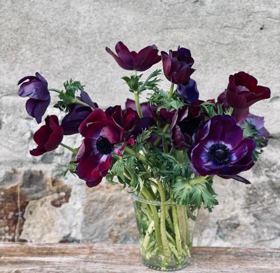 غرفة قياسية سرير كينج, Il Casale Denari