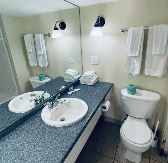 غرفة قياسية سرير كينج لذوى الإحتياجات الخاصة, Ships Inn