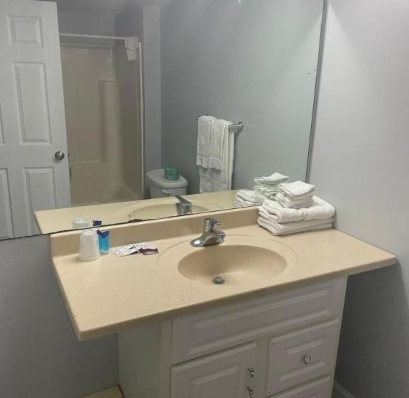 إستوديو ديلوكس, Ships Inn