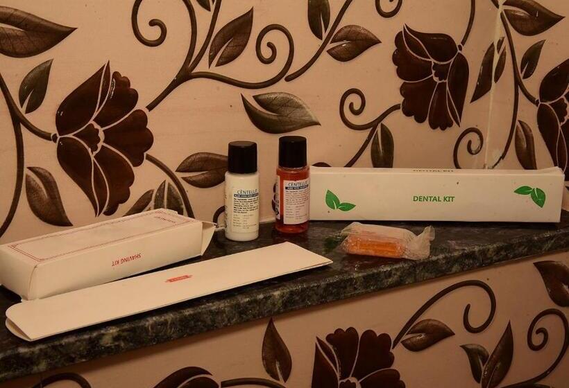 غرفة ديلوكس, Ashoka Palace